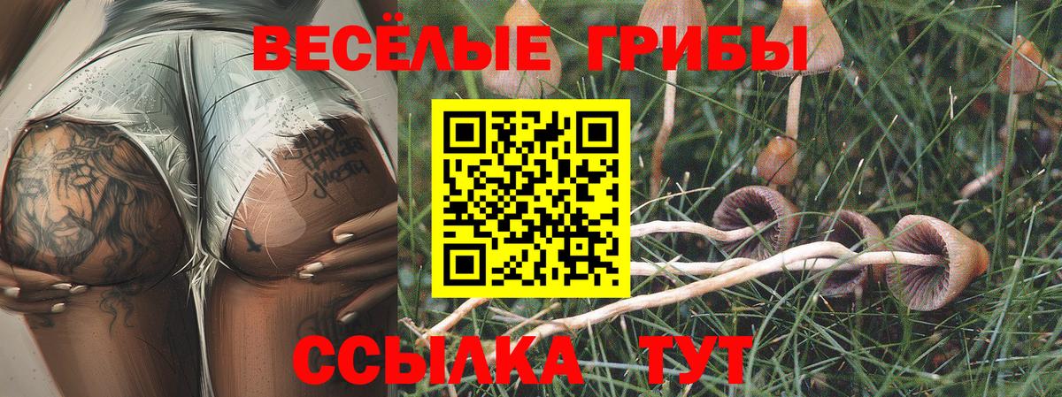 Красноуфимск  Псилоцибиновые грибы Magic Shrooms  Вход с VPN 